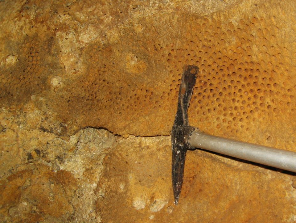 Interessante grotta fossile